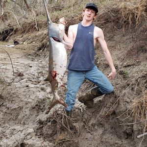 Meet your Posher, Coy